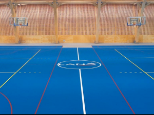 pavimentos deportivos pulastic